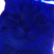 котик-передозик