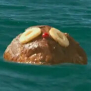 Rum Ham