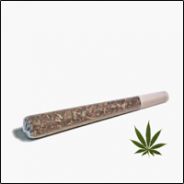 𝔇𝔬𝔫𝔱𝔅𝔢𝔐𝔞𝔡𝔅𝔯𝔬.