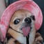 ☼JackieWeckie