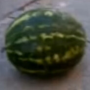 Солевой узбек