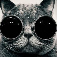 Belphegor#CSGO真箱