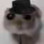 bidness hamptur