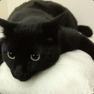 MorbidlyObeseCatto~