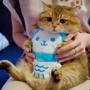 虎牙著名男枪小王