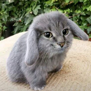 Snow beamer - steam id 76561198987221491