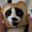 zackaroniandcheese's Avatar