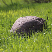 Тихий Камень