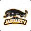 JaguarTv