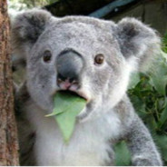 可爱的少女心，可是无所不能的哦♪