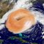 Bagel Hurricane