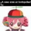 KusoDuan