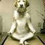 Bad Yoga