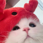 离别那天飘着雪