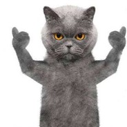 伞兵伞兵我是伞兵