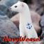 NavyWeasel