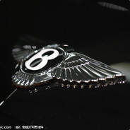 顾山山上溜过猪