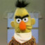bert✌