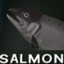 salmonwine