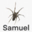 samuel