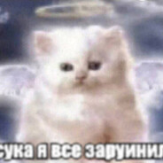 в реальной жизни