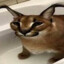 ! ジョン1