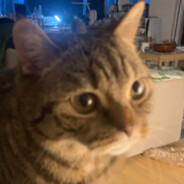 能力越小责任越小