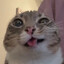 Nekomancer