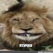 Смерть в нищите