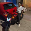 nego trufa
