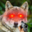 ShadowWolf