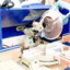 Projektion Halm