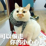 阿猫