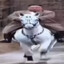 忠橙