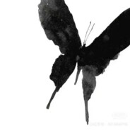 当时只到是寻常