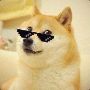 Doge