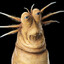 doug
