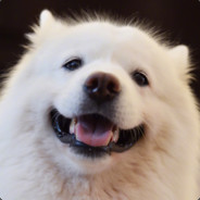 牛奶巧克力小笨b