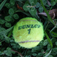 FUZZY DUNLOP - steam id 76561197961181158