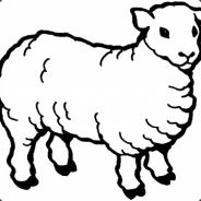 I &lt;3 Sheep