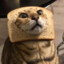 breadcat