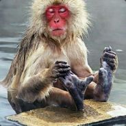 Mariano Moreno - steam id 76561197963217240