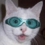 Meowcat Phelps