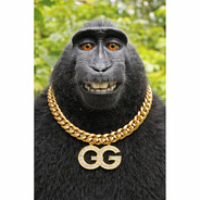 gucci gang's Avatar