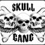 Skull Gang