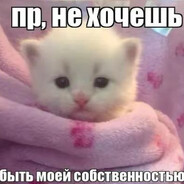Котик