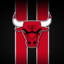 ♠_BULLS_♠