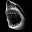 Sharky