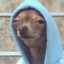 PINSCHER BLUE