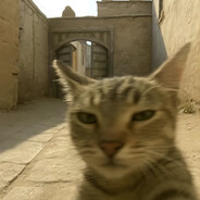 严辉村第一突击手